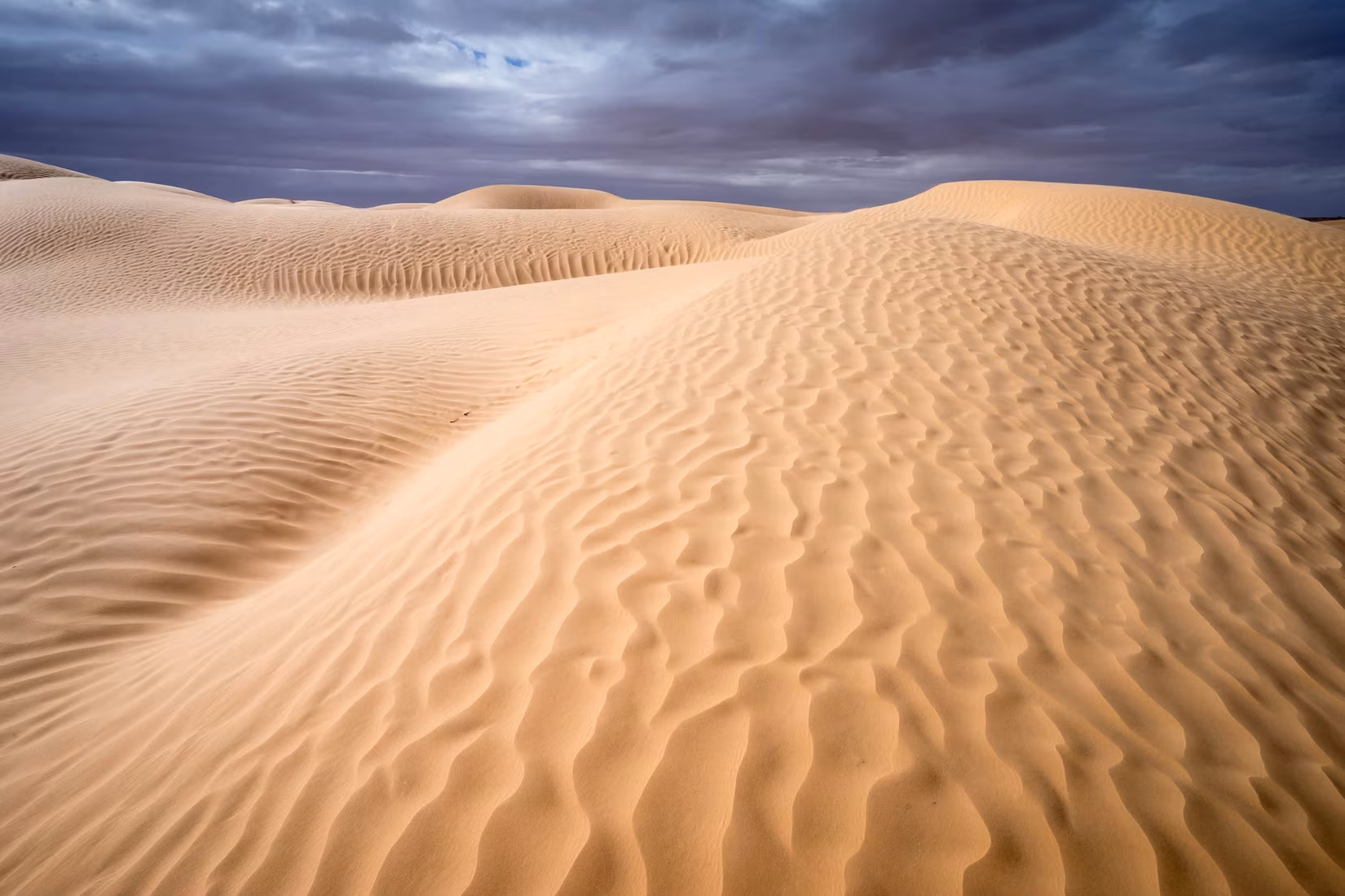 Trekking nel Sahara